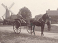 Horse-drawn gig, Wisborough Green 1896
