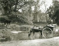Postman with horse and cart, Sussex, 1902