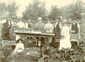 Newman family on their market garden, Worthing c1895