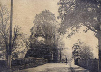 Worthing Road, Horsham, 1913