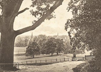 Horsham from Denne Park, 1904