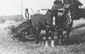 Mechanical horse-drawn harvester, West Sussex c1900