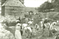 Farm workers, shearing sheep at Saddlescombe 1890