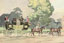 Horse and carriage image